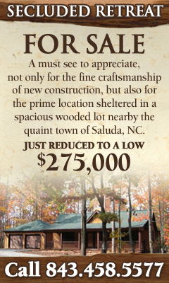 Saluda, NC Home for Sale